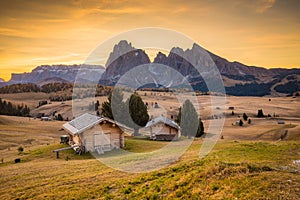 Alpe di Siusi at sunrise, Dolomites, South Tyrol, Italy