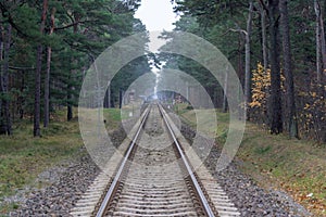 Beautiful view of train tracks surrounded by an evergreen forest during daytime