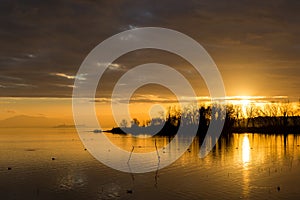 Beautiful view of Trasimeno lake at sunset, with orange tones, birds on water, Castiglione del Lago town on the