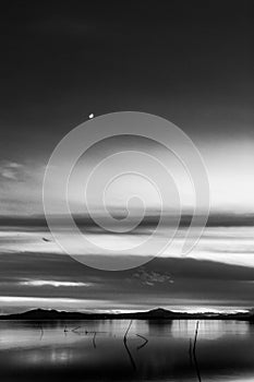 Beautiful view of Trasimeno lake Umbria, Italy at dusk, with black and white tones and moon in the sky