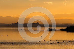Beautiful view of Trasimeno lake Umbria, Italy at sunset, with orange tones, birds on water, a man on a canoe and