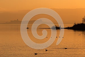 Beautiful view of Trasimeno lake Umbria, Italy at sunset, with orange tones, birds on water, a man on a canoe and