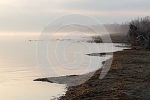 Beautiful view of Trasimeno lake Umbria shore at dawn, with C