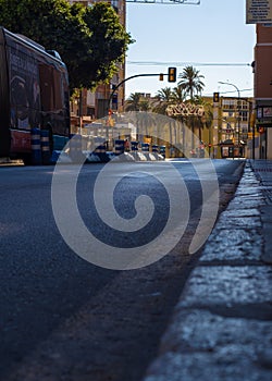 Beautiful view of trees through the streets of Malaga