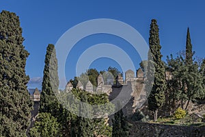 Beautiful view of trees and the wall in the castle gardens of Gibralfaro