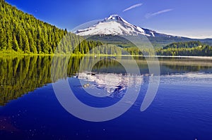 Beautiful view of Trillium lake