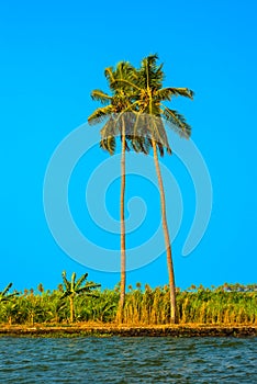 Beautiful view at tropical beach with palm trees.