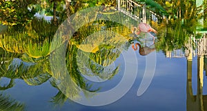 Beautiful view of tropical garden reflected in water upside down with pink flamingo bird walking in water