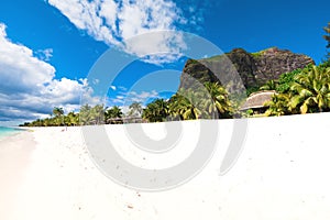 Beautiful view of tropical island. Ocean, white sand beach, palms and sky in Mauritius