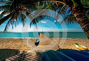 Beautiful view tropical paradise beach of resort. Coconut tree, wooden bridge, and kayak at resort on sunny day. Summer vacation