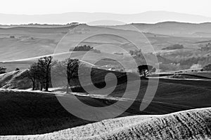 Beautiful view of Tuscany hills at sunset with distant mist