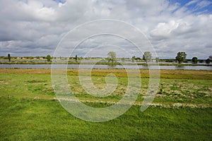 Beautiful view on a typical dutch landscape near the river Waal and water, green grass, meadows and trees on a sunny day