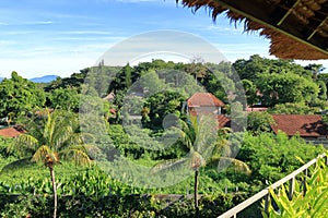 Beautiful view of Ubud city from the roof on Bali island, Indonesia