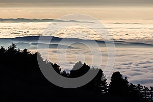 Beautiful view of Umbria valley Italy covered by a sea of fog at sunset, with beautiful warm colors and trees