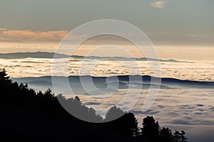 Beautiful view of Umbria valley Italy covered by a sea of fog at sunset, with beautiful warm colors and trees