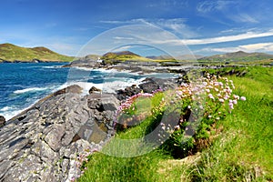 Beautiful view of Valentia Island Lighthouse at Cromwell Point. Locations worth visiting on the Wild Atlantic Way. County Kerry,