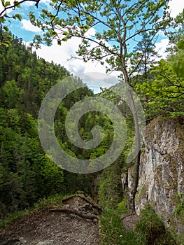 Beautiful view, valley, gorge, pure nature, West Tatras, Slovakia