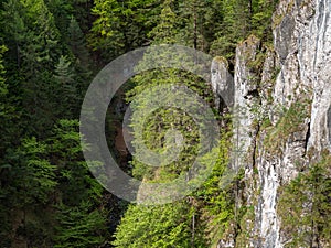 Beautiful view, valley, gorge, pure nature, West Tatras, Slovakia