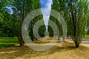 Beautiful view of Versailles gardens, Paris