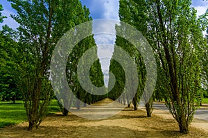 Beautiful view of Versailles gardens, Paris