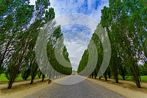 Beautiful view of Versailles gardens, Paris