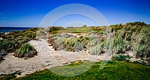 Beautiful View of the Vidanta Golf Course in Puerto Penasco