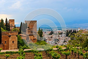 Beautiful view of a vineyard and the city of Granada, Spain