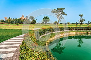 Beautiful View of walkway and green pond surrounded by beautiful paddy fields with a famous tourist attraction