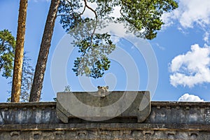 Beautiful view of wall decoration on green trees, blue sky and white clouds background.