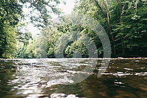 Beautiful view of water ripples on the river, with vegetation on the banks, in Townsend, Tennessee