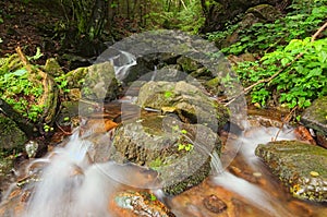 Beautiful view of waterfall landscape. Small waterfall in deep green forest. Zakarpattya, Ukraine