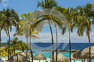 Beautiful view of white sand Curacao beach. Green palm trees and plants on coast line.