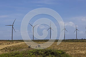 Beautiful view of windpower turbines on blue sky background. Aruba, East coast. .