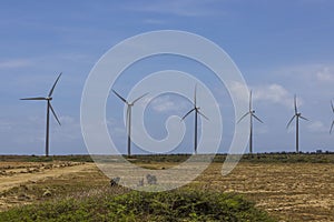 Beautiful view of windpower turbines on blue sky background. Aruba, East coast. . photo