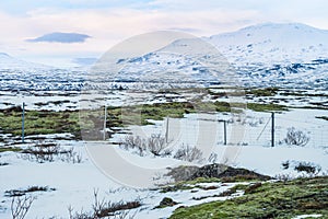 Beautiful View and winter Landscape picture in Thingvellir National park, Iceland in the winter, covered by snow.