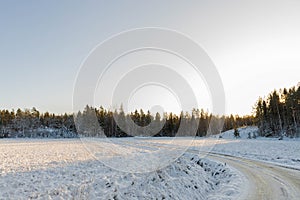 Beautiful view of winter scape. Country road in snow forest. Beautiful nature winter background