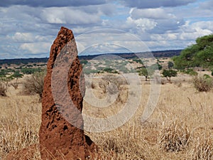 Beautiful views of AfricÐ°, jeeps with an opening top