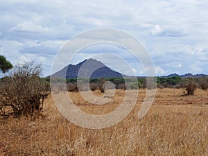 Beautiful views of AfricÐ°, jeeps with an opening top