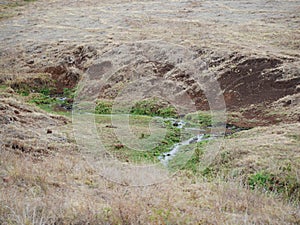 Beautiful views of AfricÐ°, trees Avatar, jeeps with an opening top