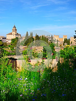 The Beautiful Views from the Alhambra Complex Spain III