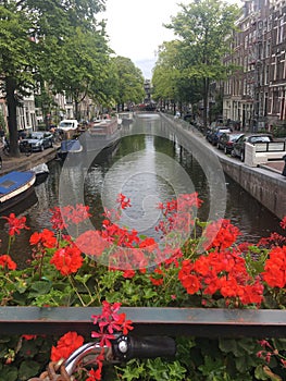 Beautiful views in Amsterdam photo