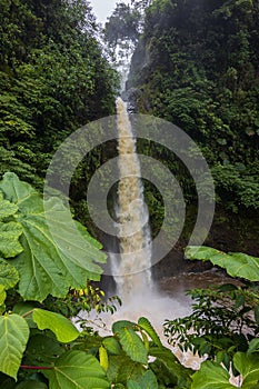 Beautiful views in Arenal Natural Park (Costa Rica)