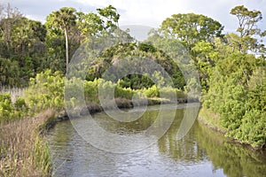 Beautiful views around each bend in the Greenway river