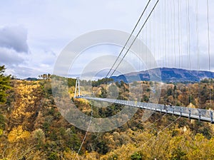 Beautiful views of KOKONOE UME SUSPENSION BRIDGE,Kokonoe City,Oita Prefecture,Kyushu,Japan