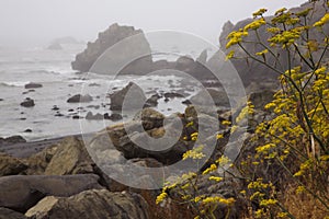 Beautiful views on Lost Coast Scenic Mattole Road in California