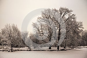 Beautiful views of Russian winter forest on the shores of Lake in the snow at sunset frosty days. Trees covered in frost and snow