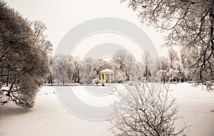 Beautiful views of Russian winter forest on the shores of Lake in the snow at sunset frosty days. Trees covered in frost and snow