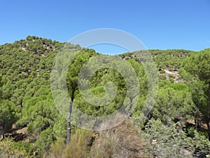 Beautiful views of the Sanctuary of the Virgen de la Cabeza in AndÃÂºjar, Andalusia photo