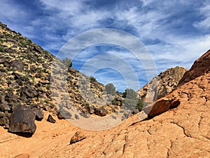 Views of sandstone and lava rock mountains and desert plants around the Red Cliffs National Conservation Area on the Yellow Knolls