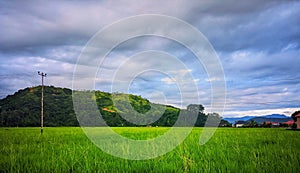 beautiful views of the sky with mountains and vast expanses of rice fields